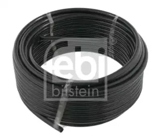 febibilstein-10043