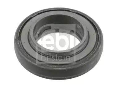 febibilstein-10068