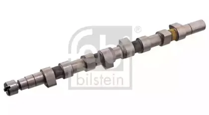 febibilstein-10140
