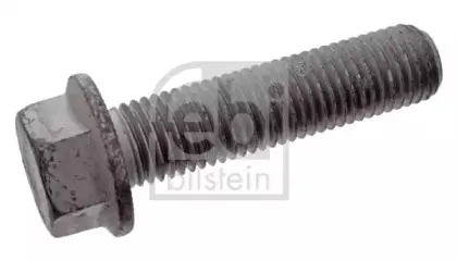 febibilstein-10191