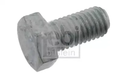 febibilstein-10249