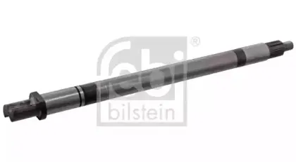 febibilstein-10480