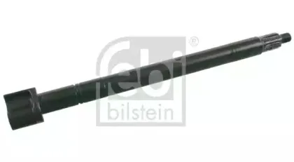 febibilstein-10481