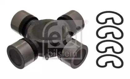 febibilstein-10491
