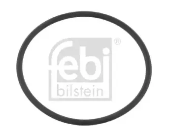 febibilstein-10609