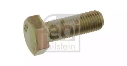 febibilstein-10636