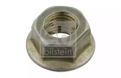 febibilstein-10638