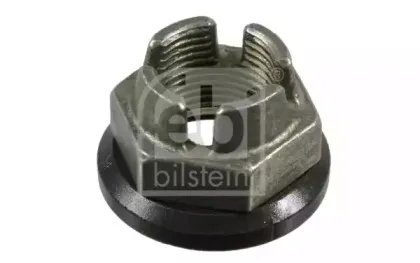 febibilstein-10736