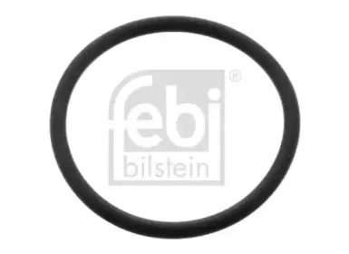 febibilstein-11371