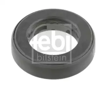 febibilstein-11381
