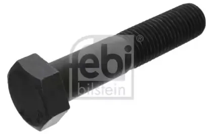 febibilstein-11465