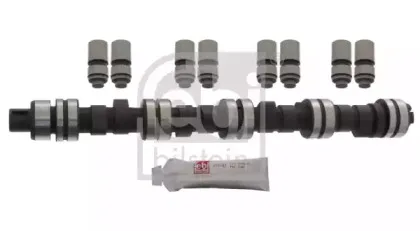 febibilstein-11518