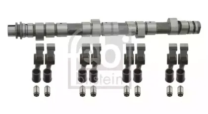 febibilstein-11593