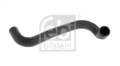 febibilstein-11666