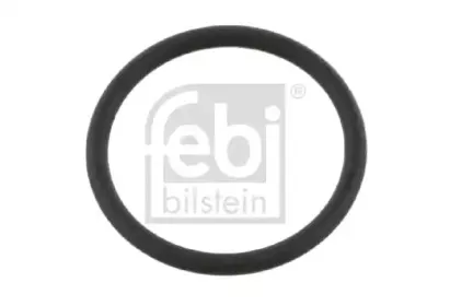 febibilstein-11673