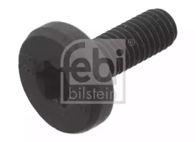 febibilstein-11674