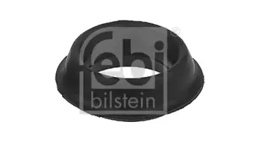 febibilstein-11698