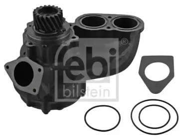 febibilstein-11943