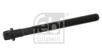 febibilstein-12049