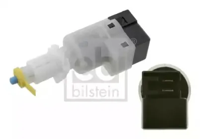 febibilstein-12231