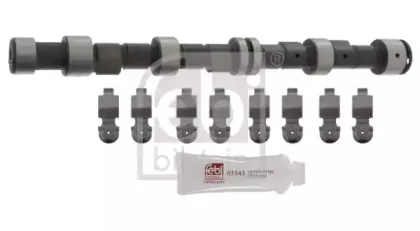 febibilstein-12246