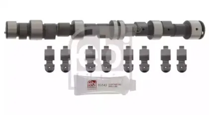 febibilstein-12279