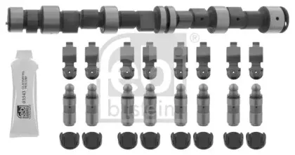febibilstein-12280
