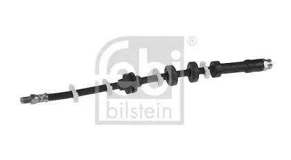 febibilstein-12305