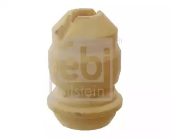 febibilstein-12477