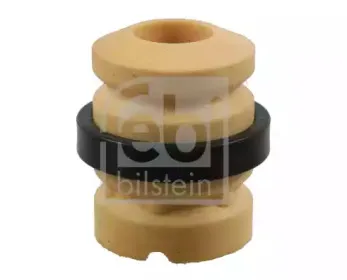 febibilstein-12479