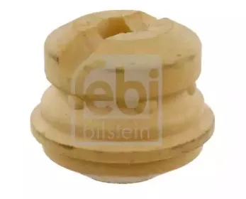 febibilstein-12481