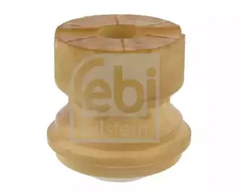 febibilstein-12483