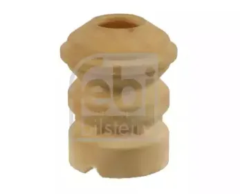 febibilstein-12485