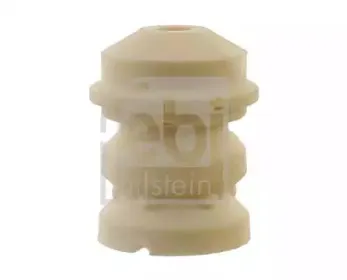 febibilstein-12488