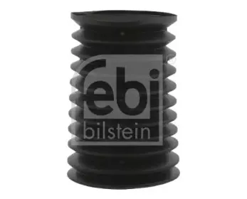 febibilstein-12493