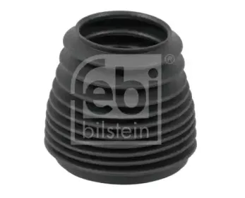 febibilstein-12494