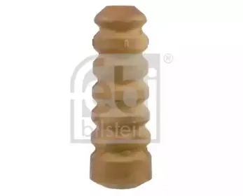 febibilstein-12497