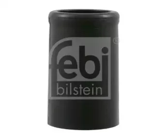 febibilstein-12498