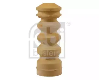 febibilstein-12499