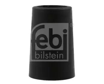 febibilstein-12500