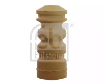 febibilstein-12501
