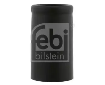 febibilstein-12502
