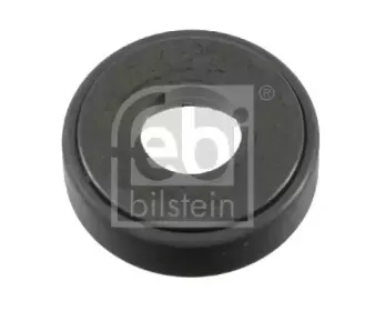 febibilstein-12594