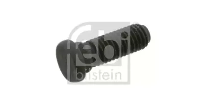 febibilstein-12596
