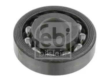 febibilstein-12599
