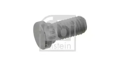 febibilstein-12604