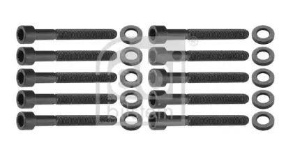 febibilstein-12653