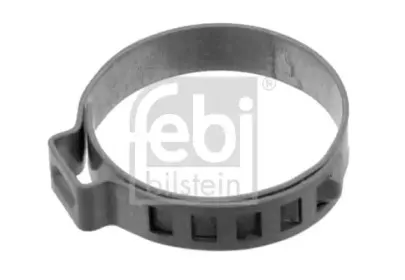 febibilstein-12802