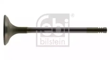 febibilstein-12828