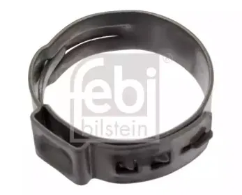 febibilstein-12852